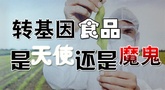 DʳƷħ᣿