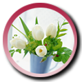 NO.029 0-3qǺӳLPI