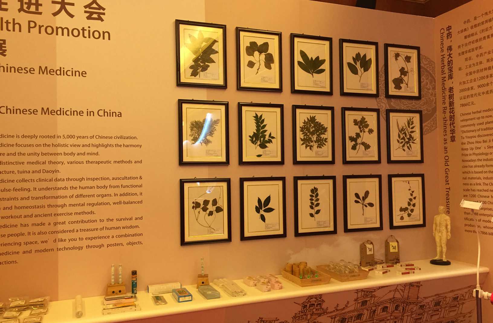 ���tˎ�w򞻥��չ�^