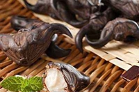 菱實累累亦良藥