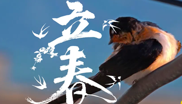 r(sh)(ji)ԓ협(yng)r(sh)(ji)B(yng)